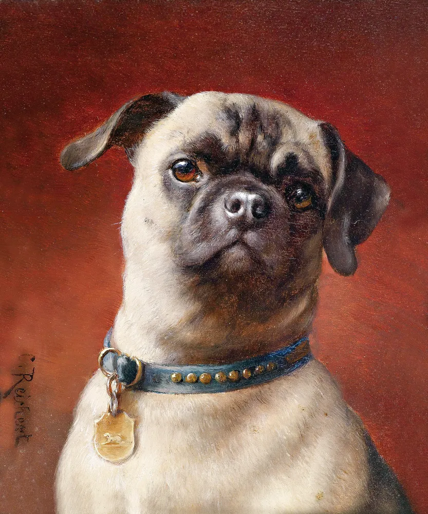 Mops by Carl Reichert