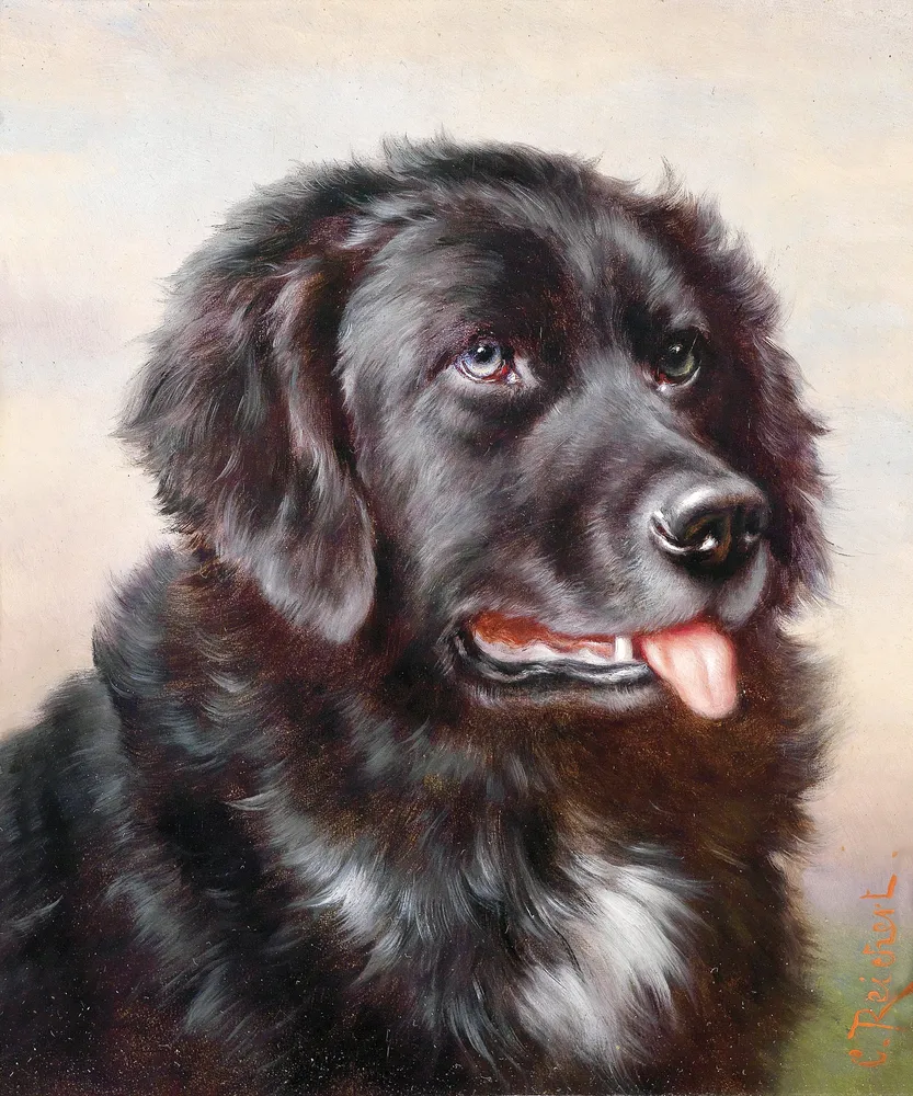 Neufundländer by Carl Reichert