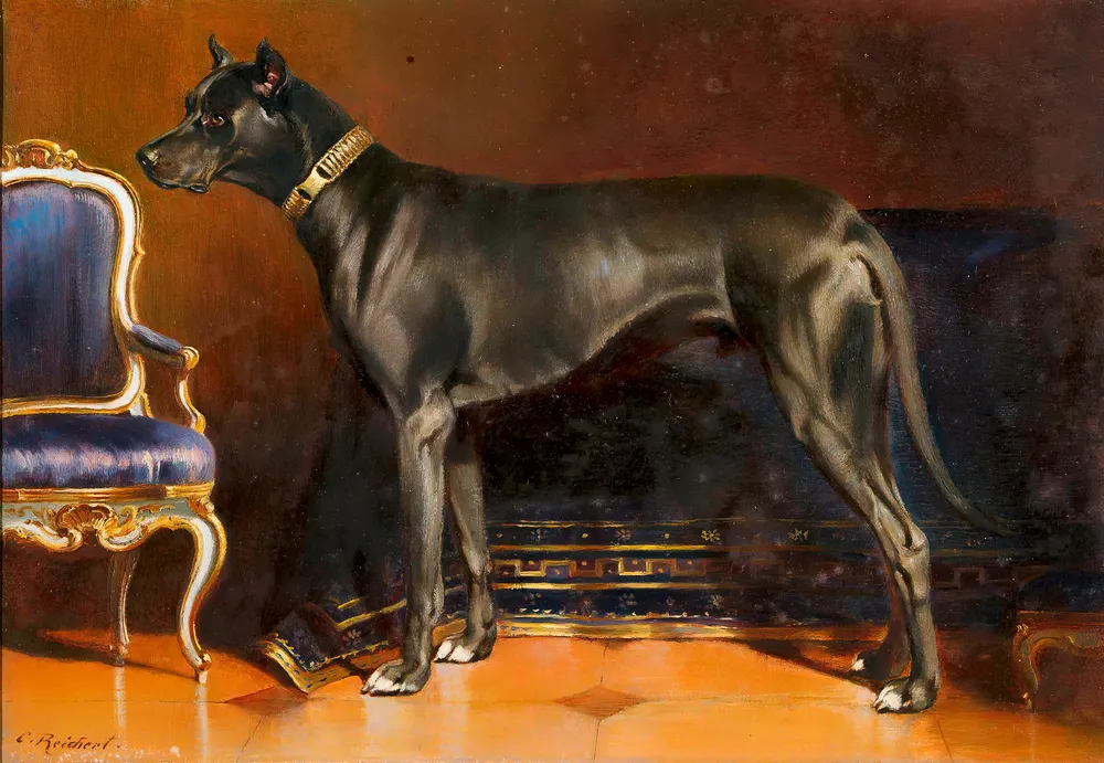 Rüde Shadow, Hund von Kaiserin Elisabeth by Carl Reichert
