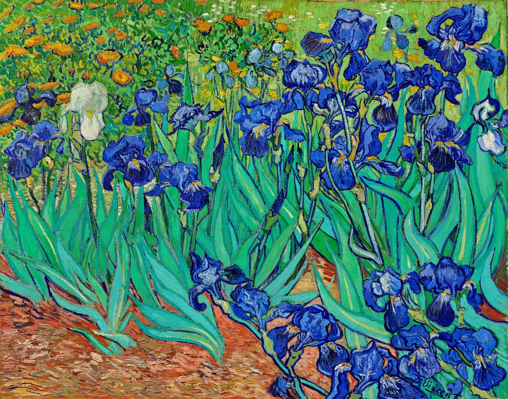 Irises (1889) by Vincent Van Gogh