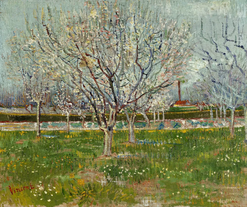 Orchard in Blossom (Plum Trees) by Vincent Van Gogh